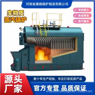 质节能环保 4吨卧式 燃烧生物质颗粒木柴蒸汽锅炉2.5吨 3吨