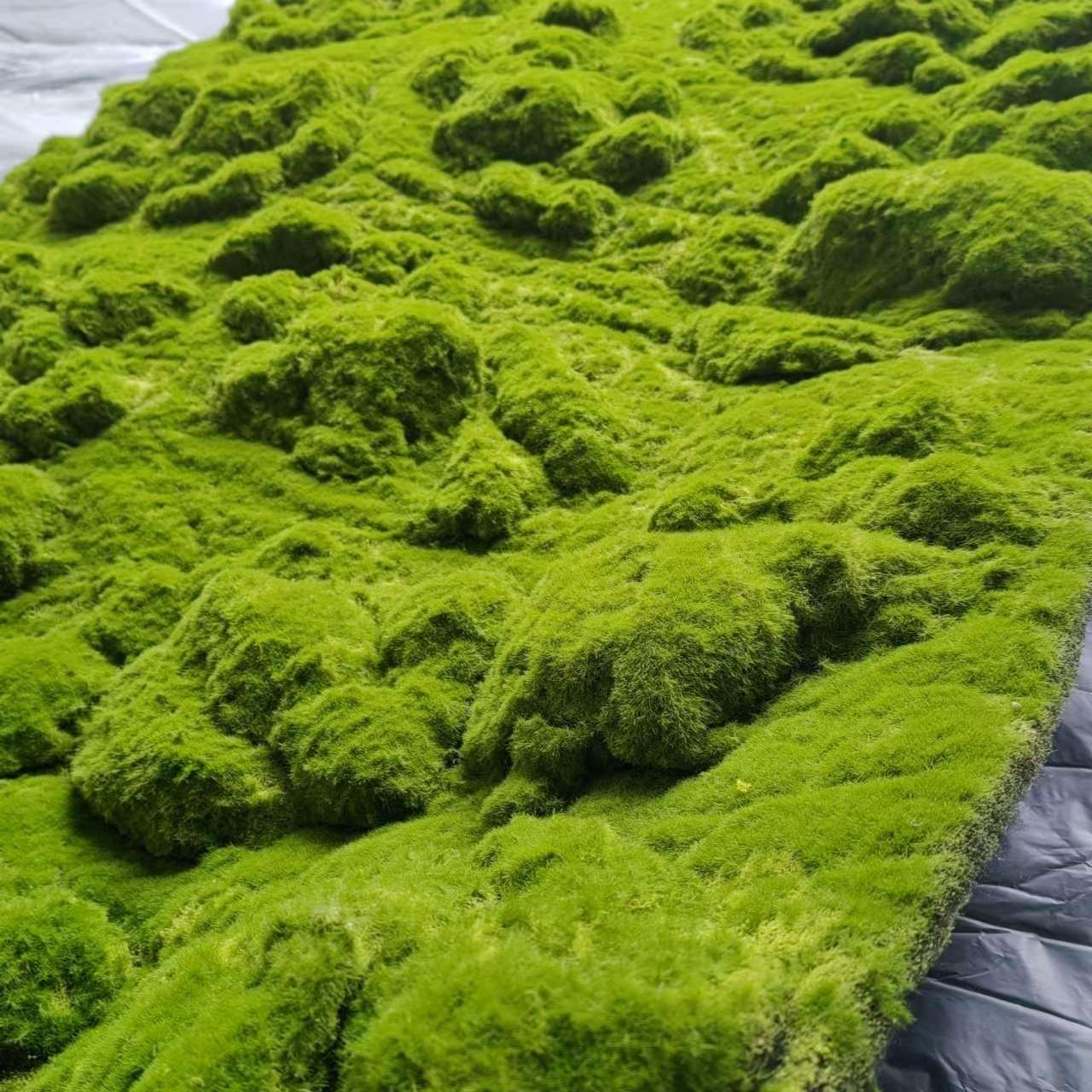 永生装绿苔皮假苔藓件园摆草林造景苔藓UJV饰墙人造草坪