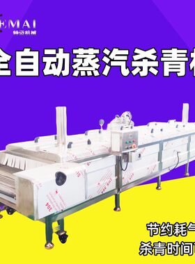 商用不锈钢生笋杀青机 马兰头蒸汽杀青机 网链式千金菜蒸煮漂烫机