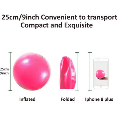 9 Inch Yoga Ball Mini Exercise Exercise Pilates Ball Sport T