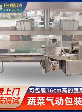 广东牌BST-60XQ372D蔬孔菜气动包装机高白菜自动0打包排气打机