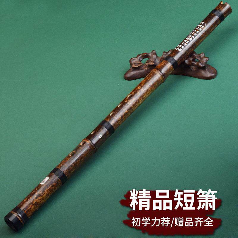 萧乐器八孔箫一节箫笛洞萧F紫竹箫初学者二节长洞萧G调短箫古风