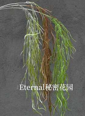 龙须草仿真花龙柳须壁挂藤条垂柳 柔丽丝吊米植物墙垂吊千丝万缕