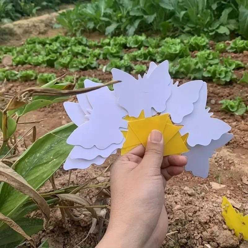 新款直销异形昆虫蚊虫蝴蝶虫陷阱黄色双面诱虫黏虫贴纸粘虫板诱虫