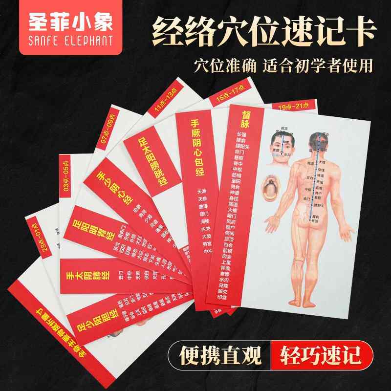 十二经络穴位图速记学习卡人体中医针灸模型教学走向挂12全身部位