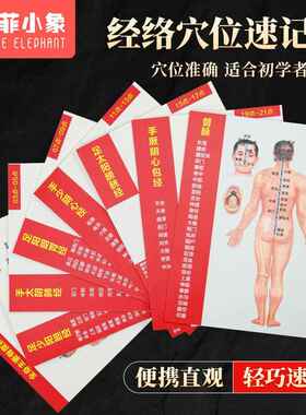 十二经络穴位图速记学习卡人体中医针灸模型教学走向挂12全身部位