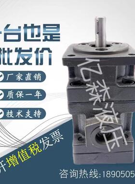 仙居永灵液压双联泵YB1-63-125/12.5-25YB1-12.5-25/12.5-25油泵