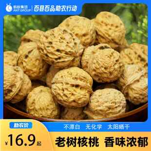 贵州赫章核桃休闲小吃贵州特产农村高山农民自产自销不是纸皮核桃