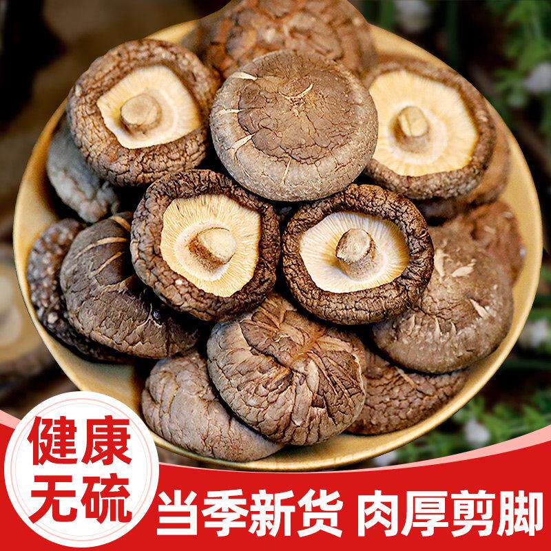 香菇干货商用脆小菌菇炖汤煲汤来了直播间庆元特产非野生特级新鲜
