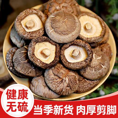 香菇干货商用脆小菌菇炖汤煲汤来瞭直播间庆元特产非野生特级新鲜