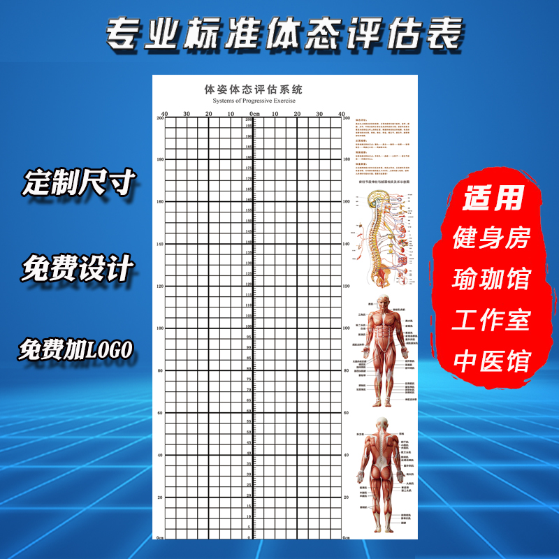 新款工作室健身房壁画体态评估表壁画体姿体态测量私教瑜伽评估图