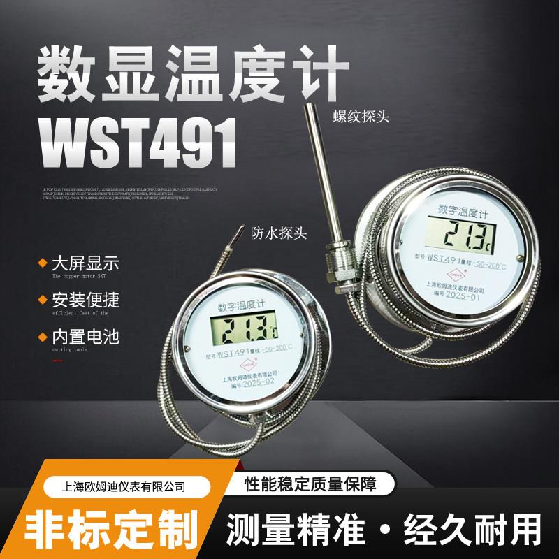 不锈钢数显温度计带监视器WST/DTM-491高精度工业防水数字测温仪