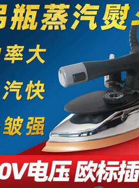 110v电压手提工业吊瓶蒸汽熨斗手持式蒸汽电熨斗服装厂干洗窗帘店
