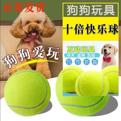 Dog toy ball, suitable for Border Collies, Golden Retrievers