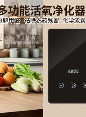 新款臭氧产生器家用食材肉类净化器果蔬清洗机水果餐具消毒器