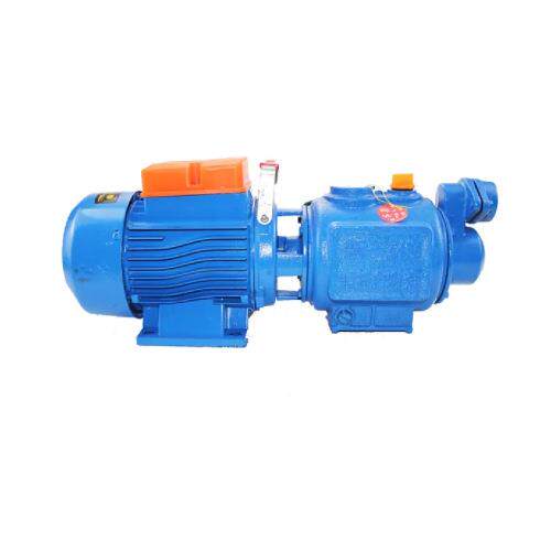 尼泊尔家用高压自吸螺杆泵ZGD系列抽水灌溉清水泵220V1HP