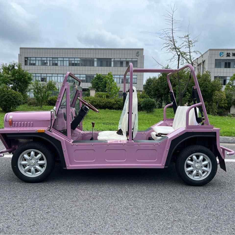 MOKE电动四轮四座酒店机场摆渡车铅酸版锂电版燃油版观光车