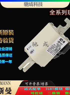 巴斯曼170M3244 170M3245 170M3246 销售供应直销价优 特种保险丝