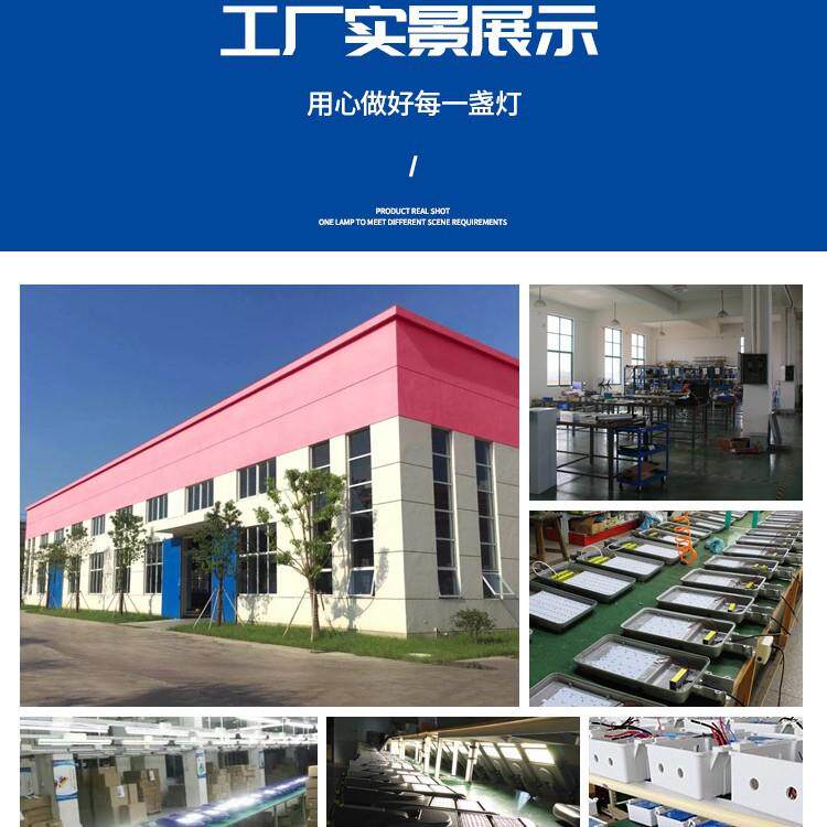 LED接电金豆路灯头220V市政道路照明新农村户外庭院小区超亮路灯