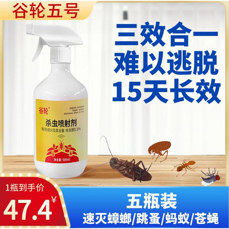 【谷轮lvq杀虫剂】五号蟑螂药蚂蚁小虫子跳蚤臭虫药家用杀虫剂