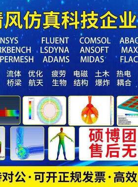 ANSYS代做/ABAQUS/Fluent/maxwell/comsol/Adams/Icepak彷真