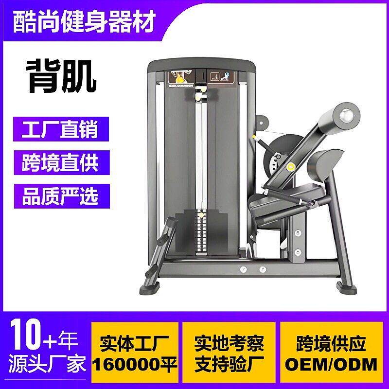 背肌商用健身器材大全肩部胸部腿部腹部背部腰部力量训练器