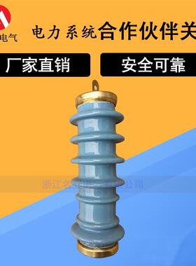 10v陶瓷金属氧化锌避雷器Y5WS-17/50FT高压高压蓝色广东广西型
