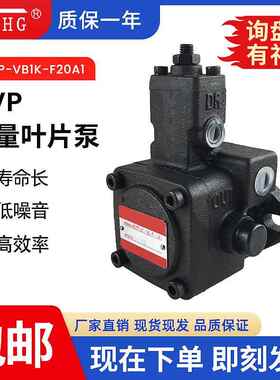 HVP-VB1K-F20A1/F20A2/F20A3/F2020A1A1/F2020A2A2变量叶片液压泵