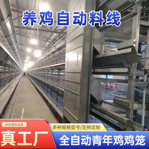 青年鸡笼蛋鸡笼H型自动化设备养鸡场养殖场实体工厂