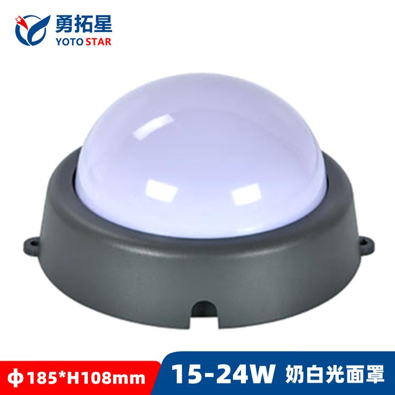 大功率24W乳白罩LED点光源七彩外墙轮廓跑马灯牌匾装饰15W点光源