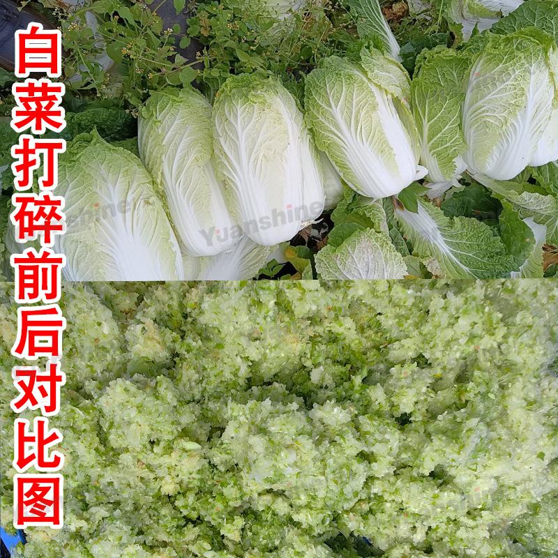 厂家现货热销蒜泥打碎机水果蔬菜打汁机辣椒酱打浆机易清洗