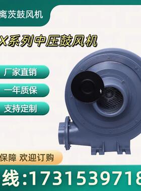 离茨透浦中压鼓风机CX-125铝合金中压风机2.2kw工业炉助燃耐高温