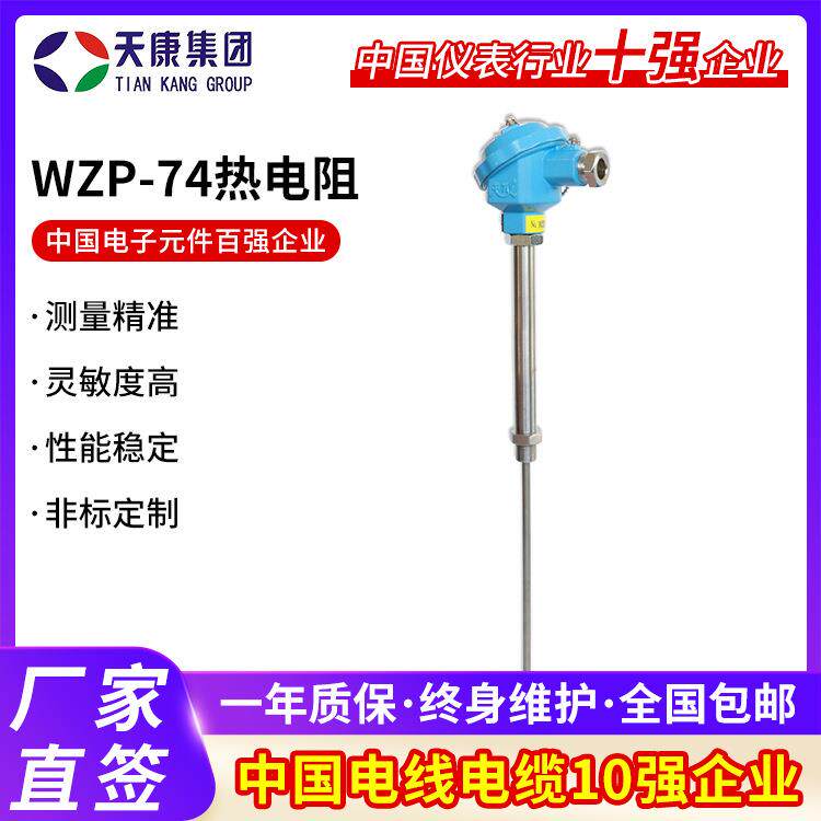 防爆热电阻WZP-74/WZP-74A热电阻直形管接头高温工业防爆式热电阻图片
