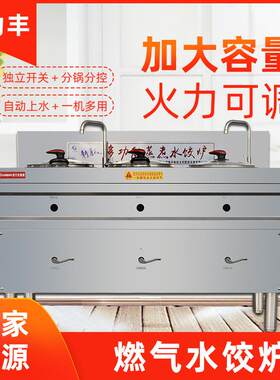 厂家现货饭店商用燃气关东煮煮面麻辣烫煮馄饨锅燃气水饺分煮炉