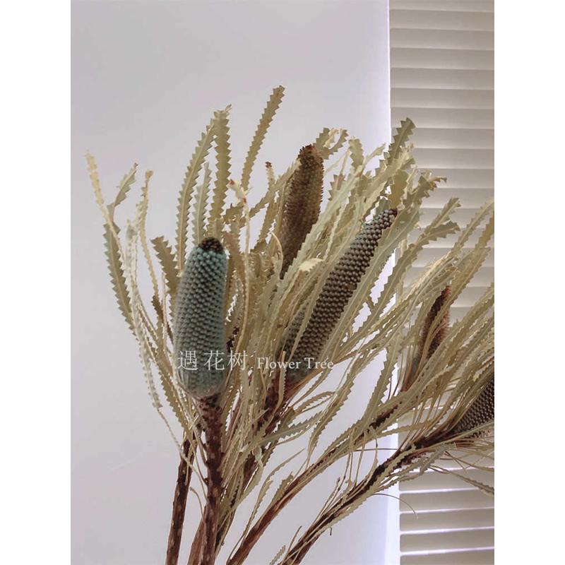 芯干花真佛塔玄关风客厅店铺花束摆设进口木班花ins摆件长软克