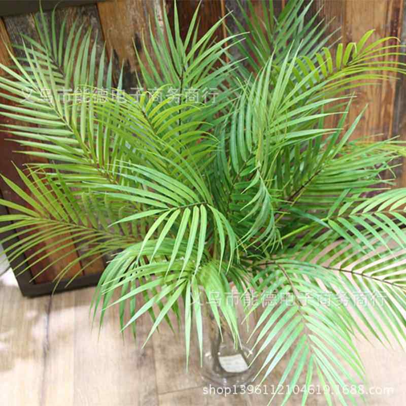 精品竹葵仿真棕榈树植物墙配材散尾葵文竹草盆景装饰椰子叶超逼真,家居饰品,仿真花/假花,淘宝优惠券,粉丝福利购,淘宝优惠卷