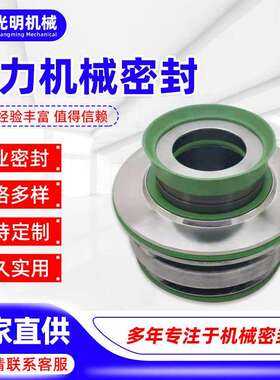 飞力Flygt机械密封污水泵密封FS-25/35/45/60/90轴封石墨碳化硅密