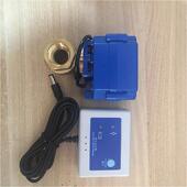 坚振漏水报警器控水自动断水感应自来水家庭保护器水阀控制器警报