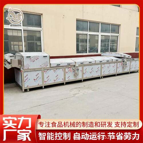 自动控温隧道式洋葱圈漂烫机大型莴苣漂烫设备商用蔬菜蒸汽漂烫机