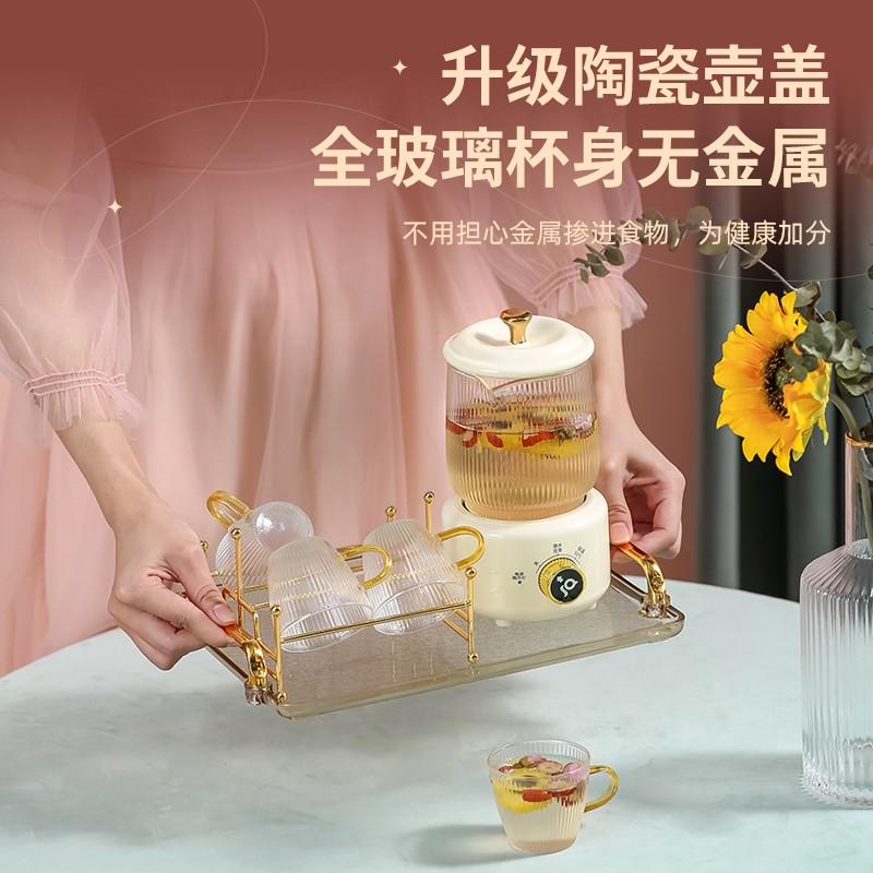 迷你花茶壶多功能养生壶家用小型办公室烧水壶加厚玻璃煮茶器配件