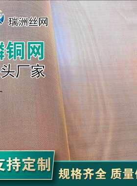 1-300目铜网紫铜丝网编织毛细铜丝布无磁信号屏蔽网铜丝网厂家