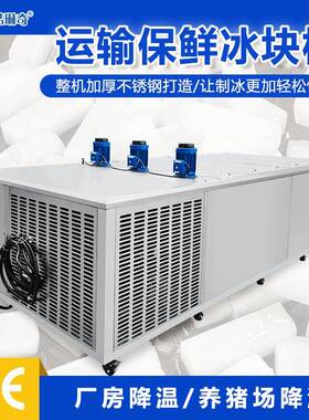 厂家直销工业款降温保鲜冰块可选大小5KG10KG15KG5吨冰砖机制冰机