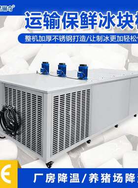 厂家直销工业款降温保鲜冰块可选大小5KG10KG15KG5吨冰砖机制冰机