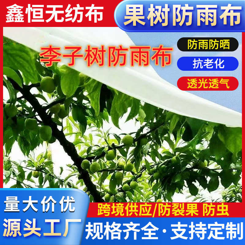 樱桃李子枇杷果园白色防雨布防晒防虫水果树专用遮雨布果树防雨布