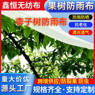樱桃李子枇杷果园白色防雨布防晒防虫水果树专用遮雨布果树防雨布