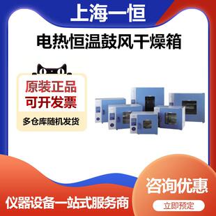 9240A电热恒温鼓风干燥箱恒温烘箱 上海一恒DHG