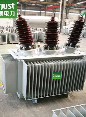 厂家直供S11-250KVA/10/0.4三相配电全密封全铜油浸式电力变压器