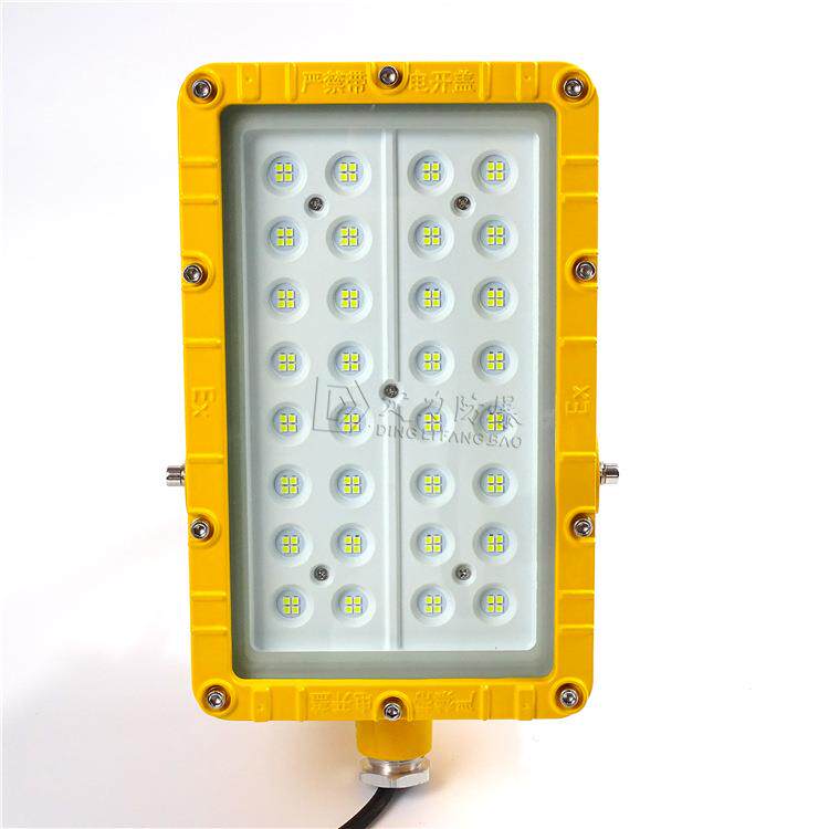 led防爆投光灯泛光灯40W50W60W80W100W免维护防爆灯BFC8115A