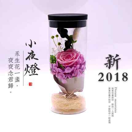 新款直销永生花创意礼品 生日情人节礼物发光触控小夜灯小王子保