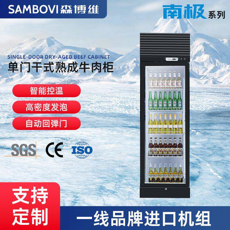 单门干式熟成牛肉柜商用餐厅冷藏展示保鲜柜西餐立式牛排排酸柜